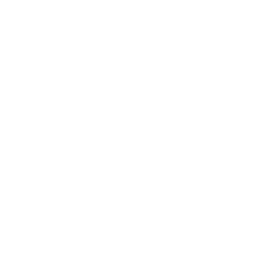 IATA Travel Industry Designator Service